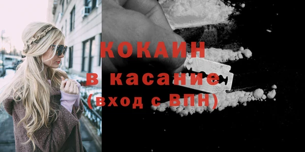 крисы Вяземский