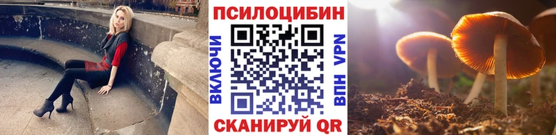 купить   Ивантеевка  Галлюциногенные грибы прущие грибы 